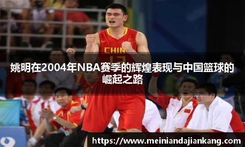 姚明在2004年NBA赛季的辉煌表现与中国篮球的崛起之路
