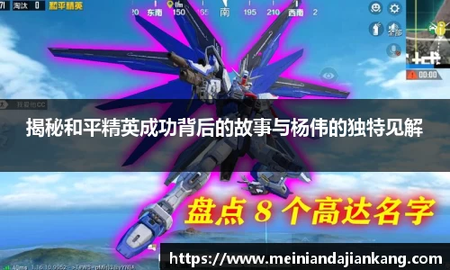 揭秘和平精英成功背后的故事与杨伟的独特见解